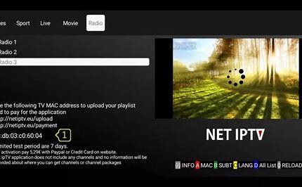 NET IPTV
