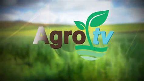 ARGO IPTV